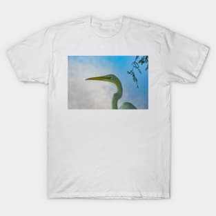 Great egret of Florida T-Shirt